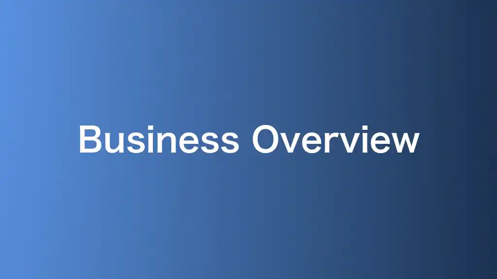 Business Overview