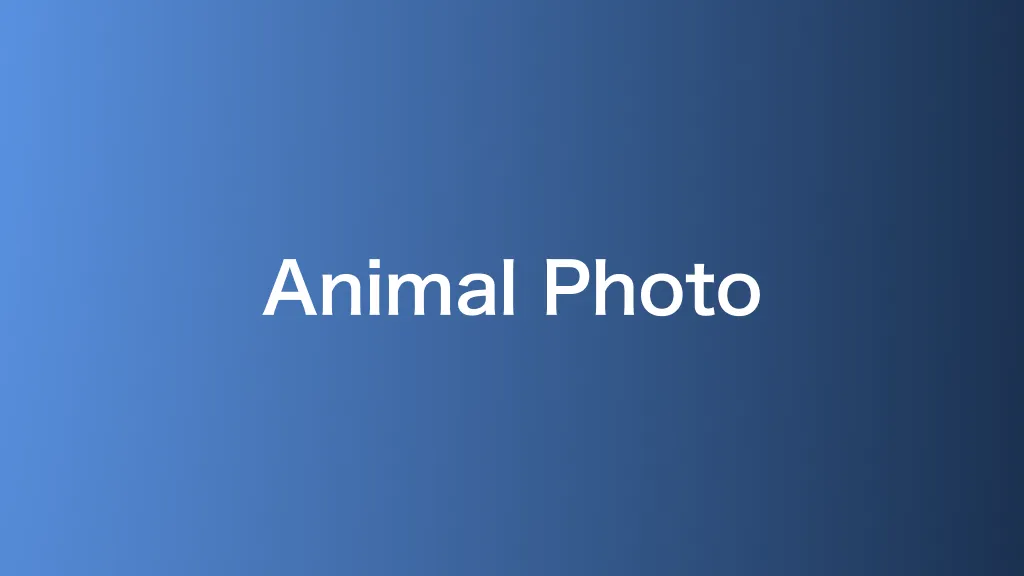 Animal Photo