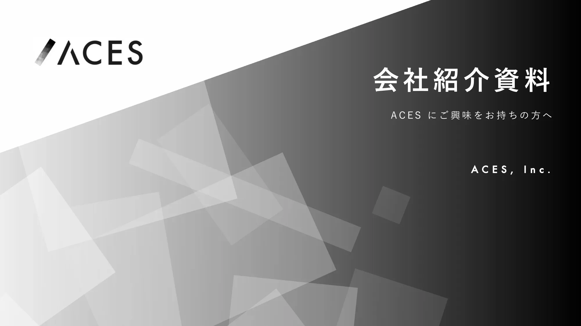 ACES会社説明資料