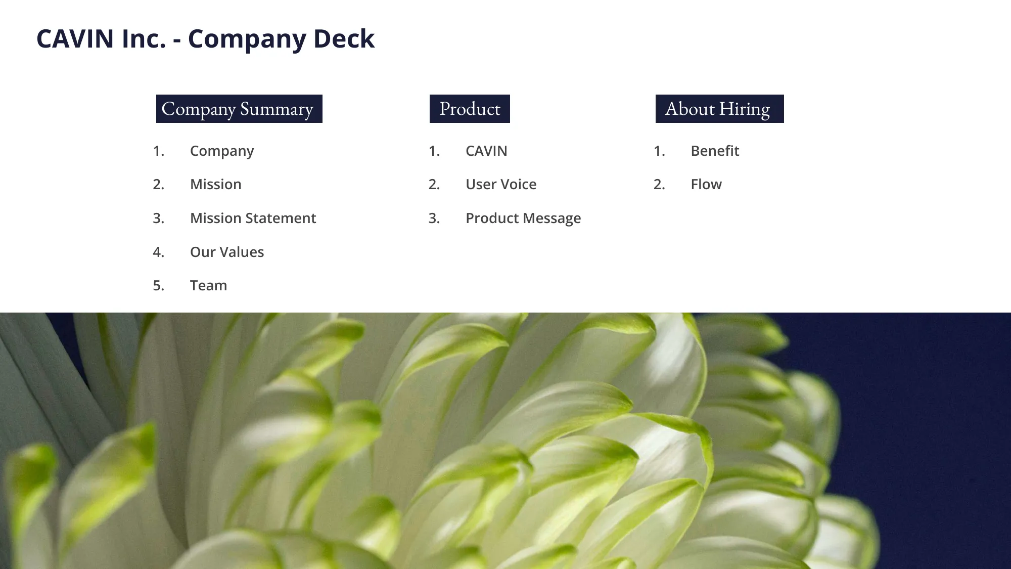 CAVIN Company Deck 1.0