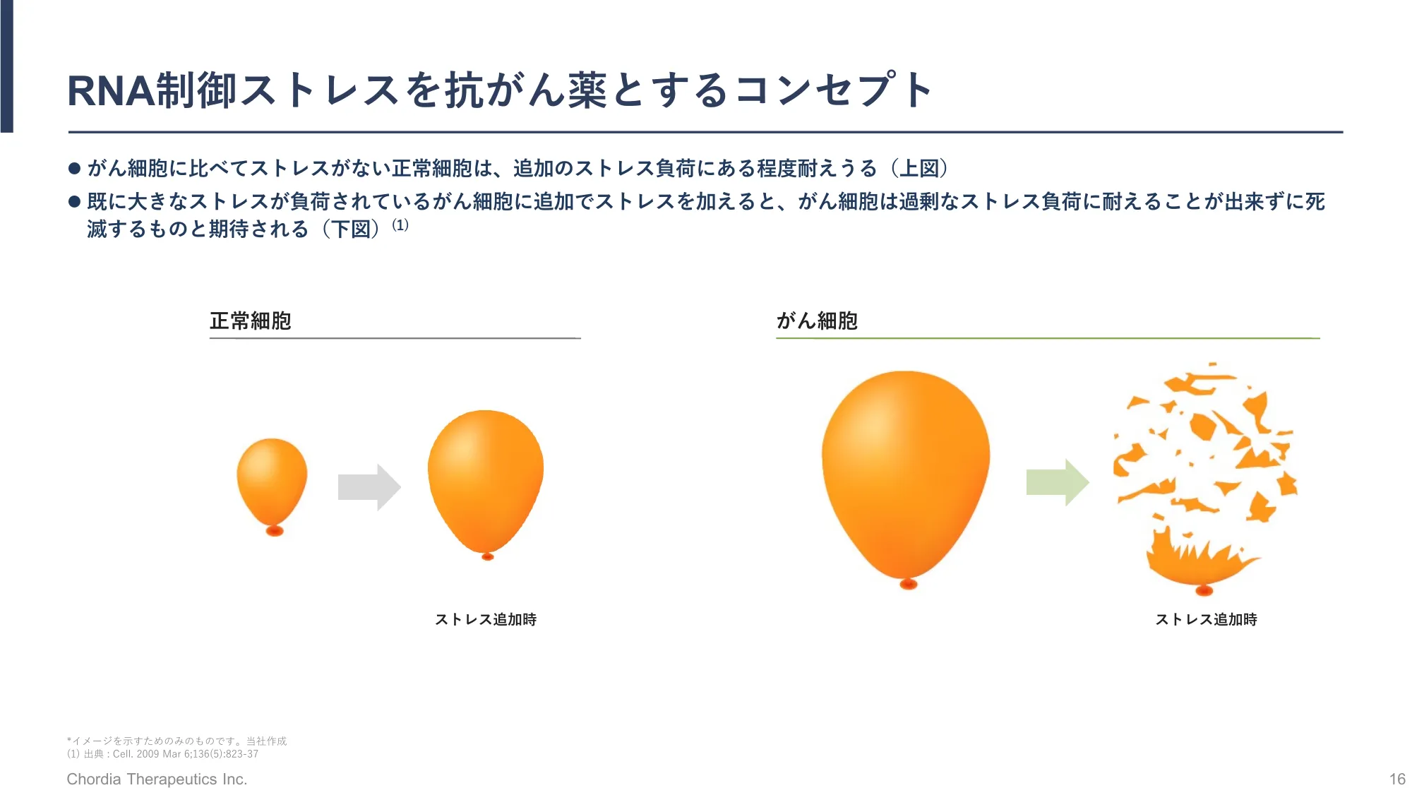 事業計画及び成長可能性に関する事項の開示｜Chordia Therapeutics株式会社