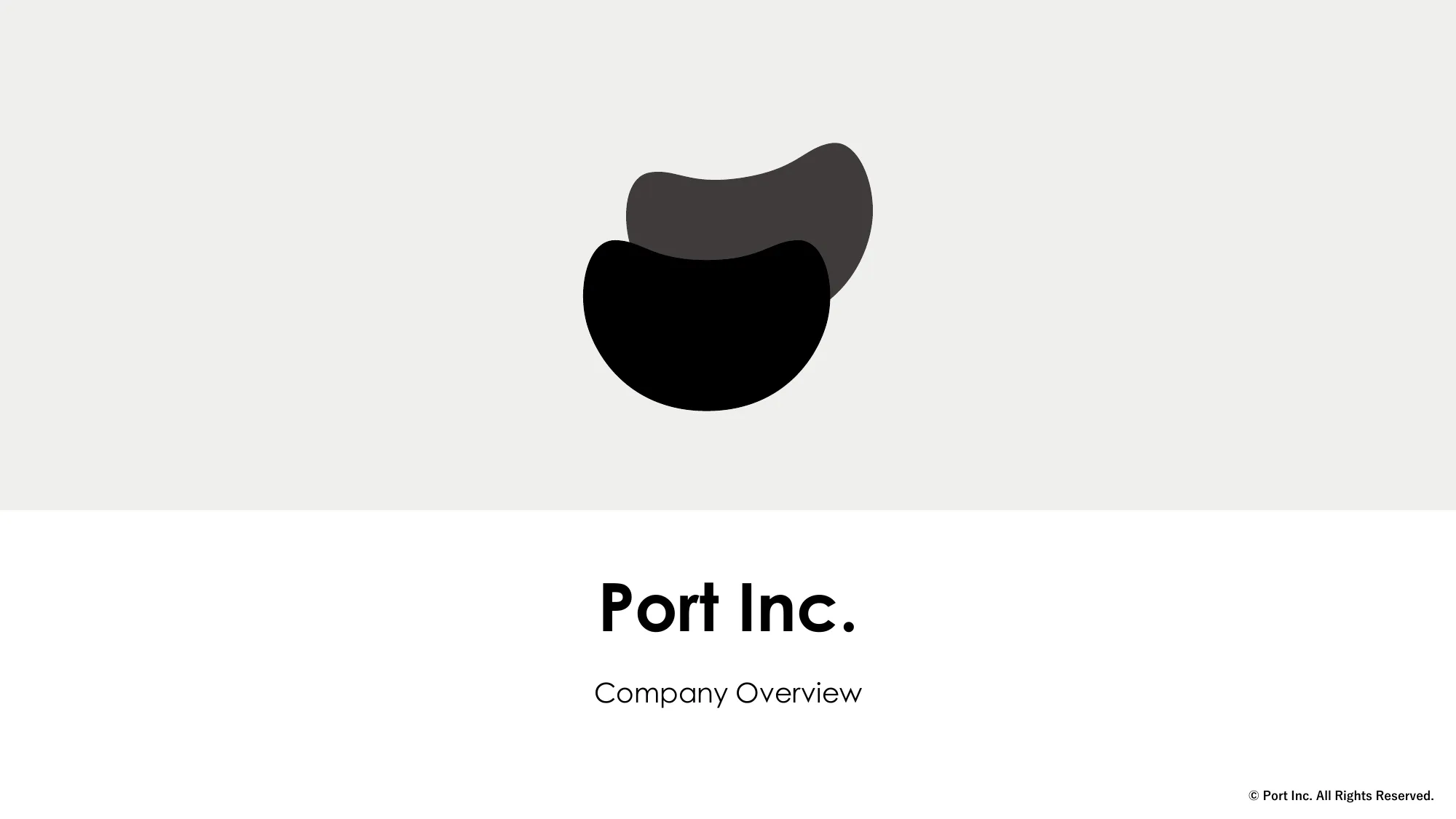 Port Company Overview