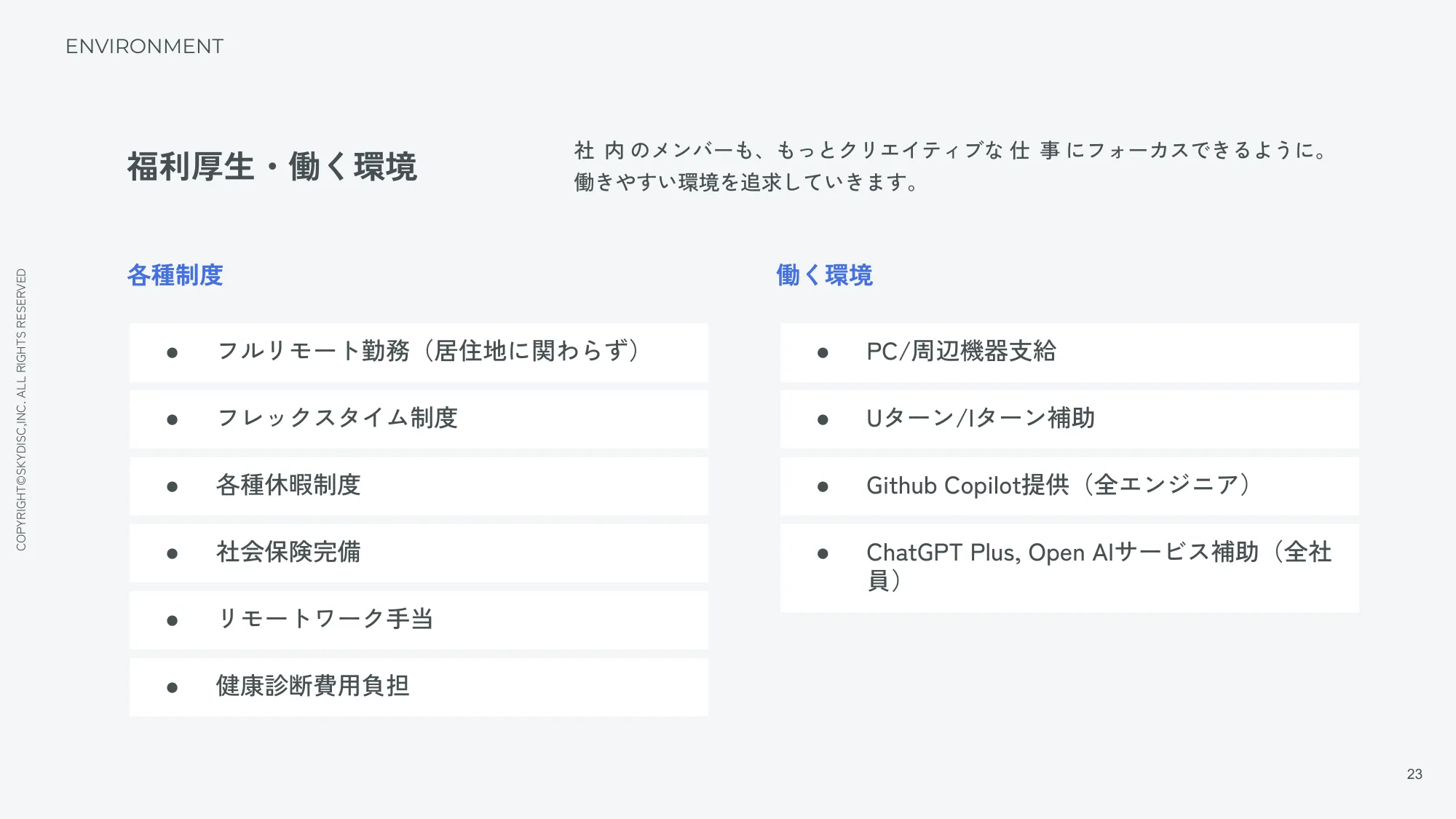 株式会社スカイディスク 会社紹介資料