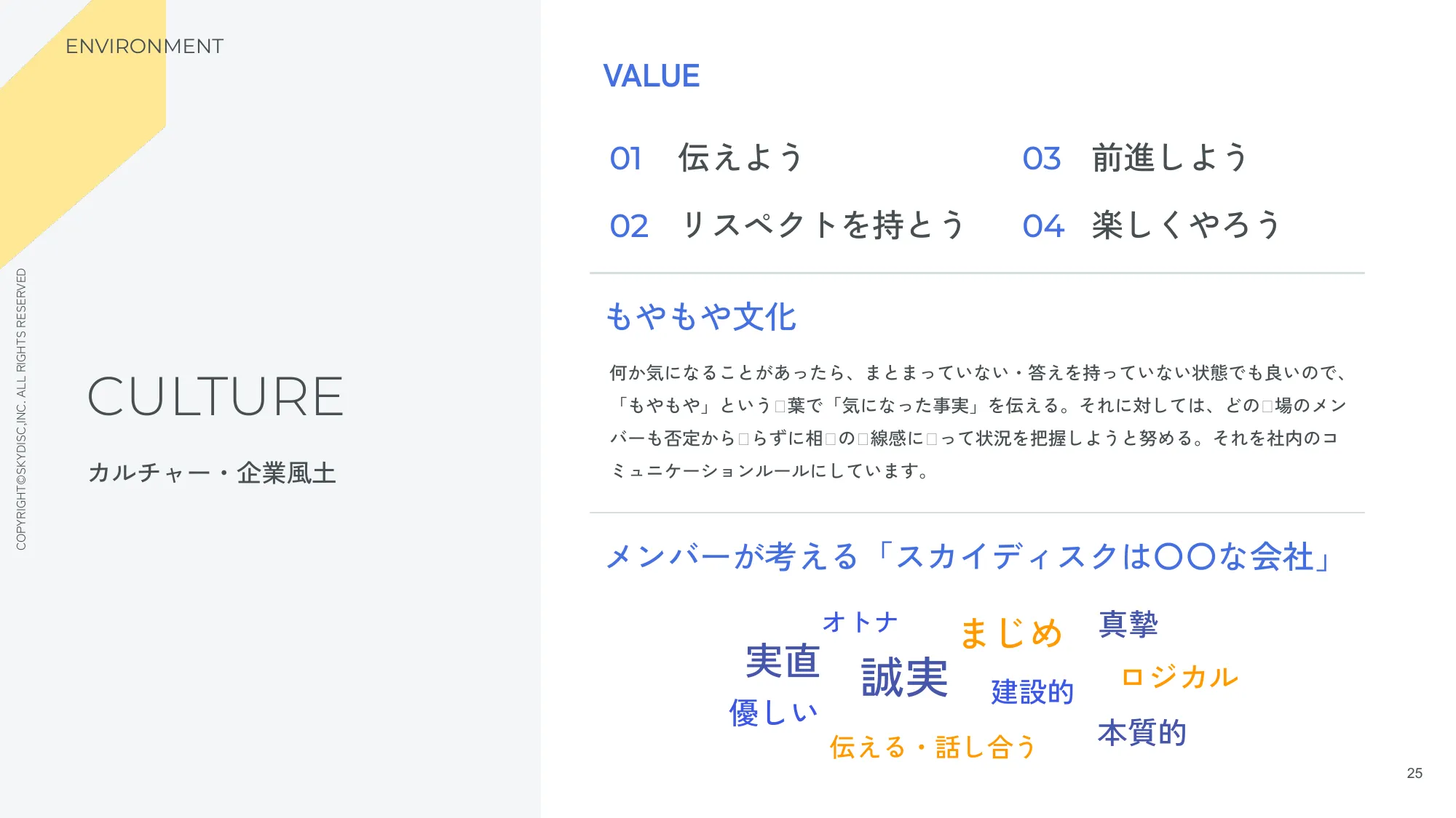 株式会社スカイディスク 会社紹介資料