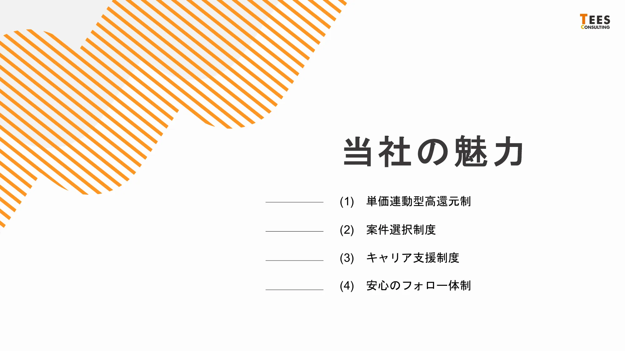 ティーズコンサルティング採用説明資料