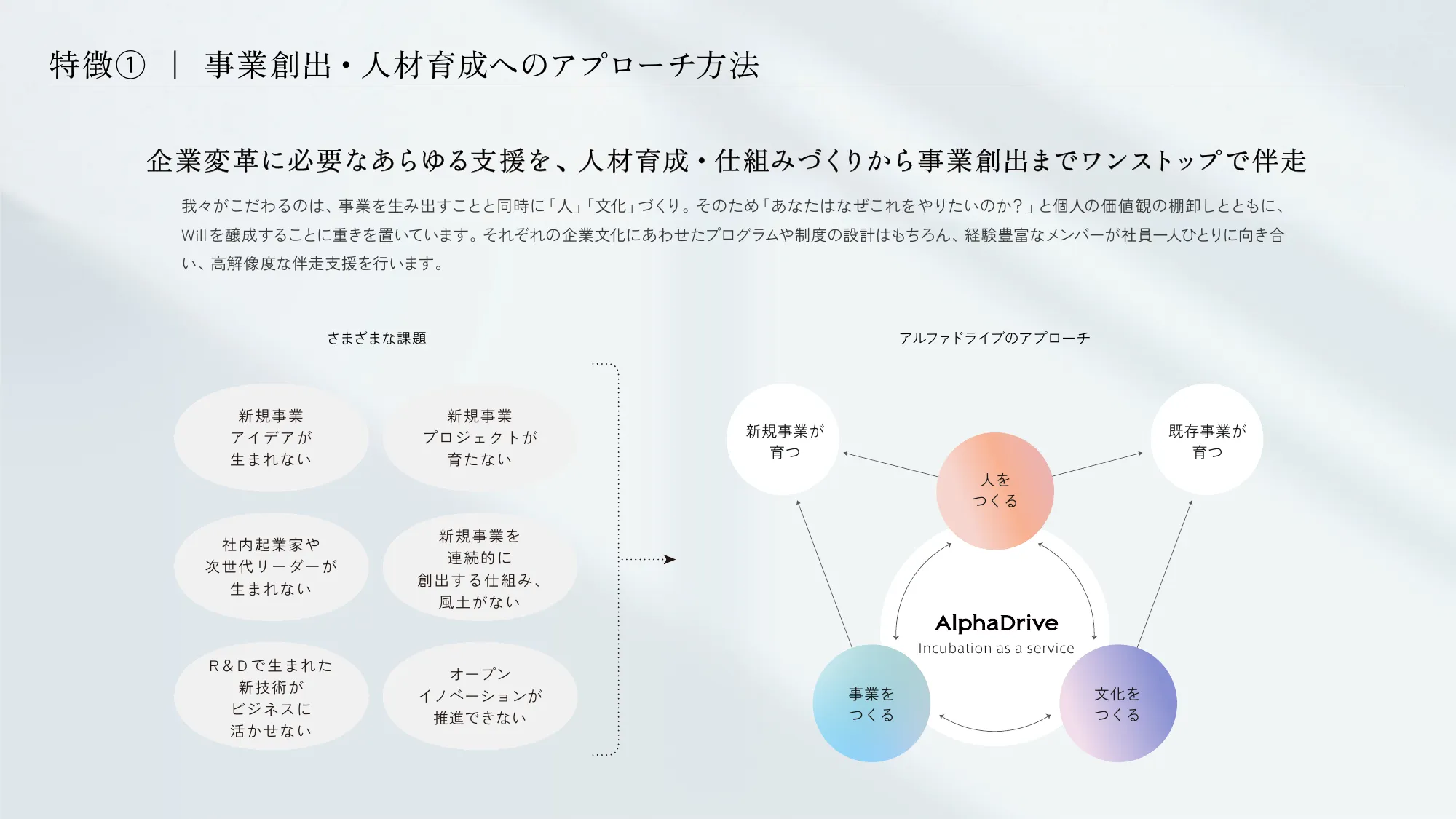 AlphaDrive Corporate Document