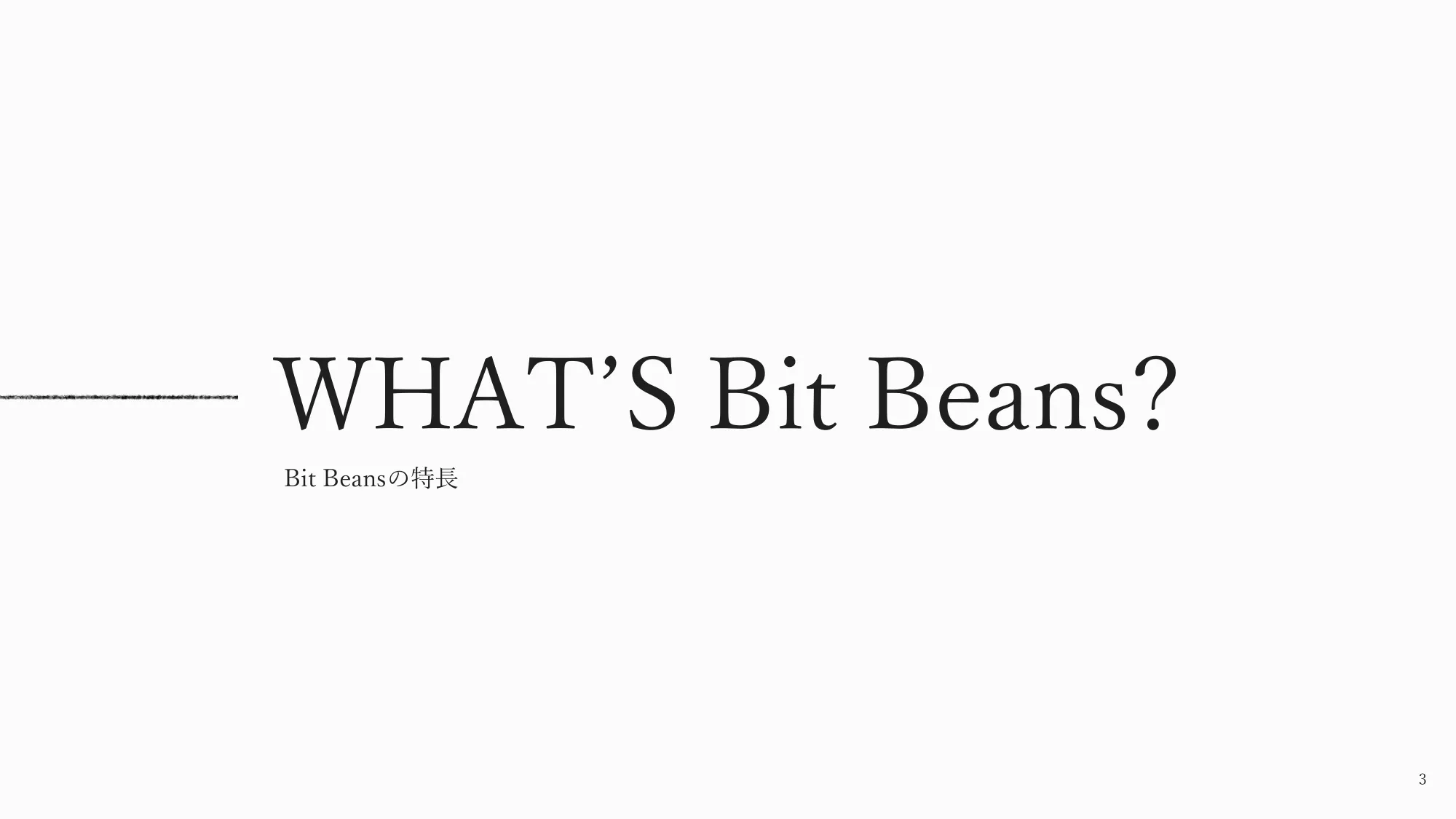 Bit Beans紹介パンフレット