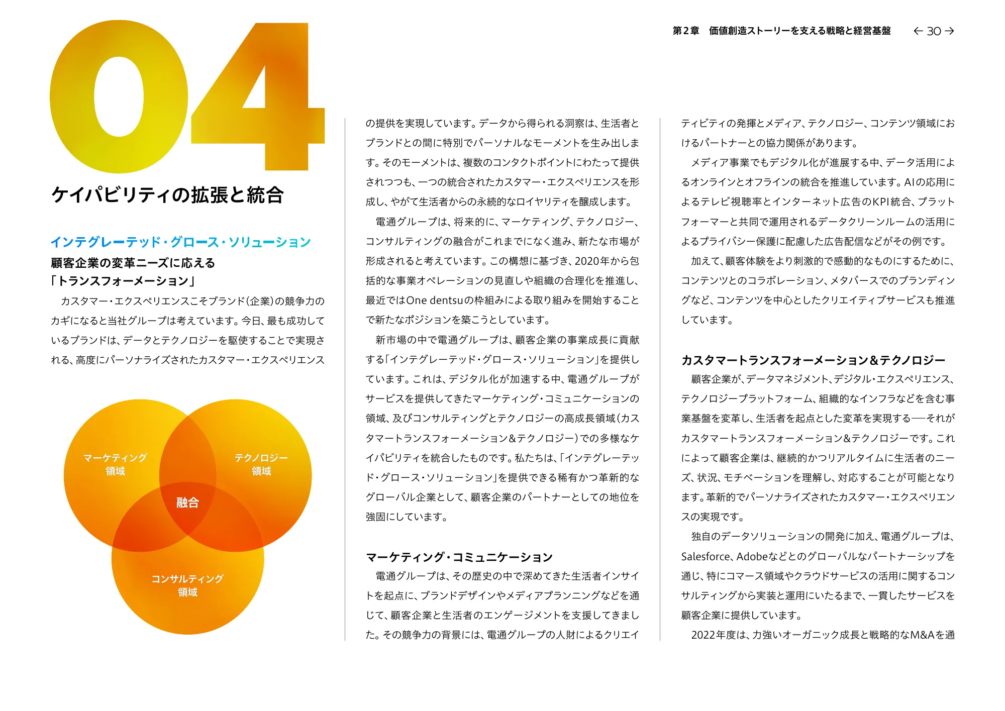 統合レポート2023 dentsu