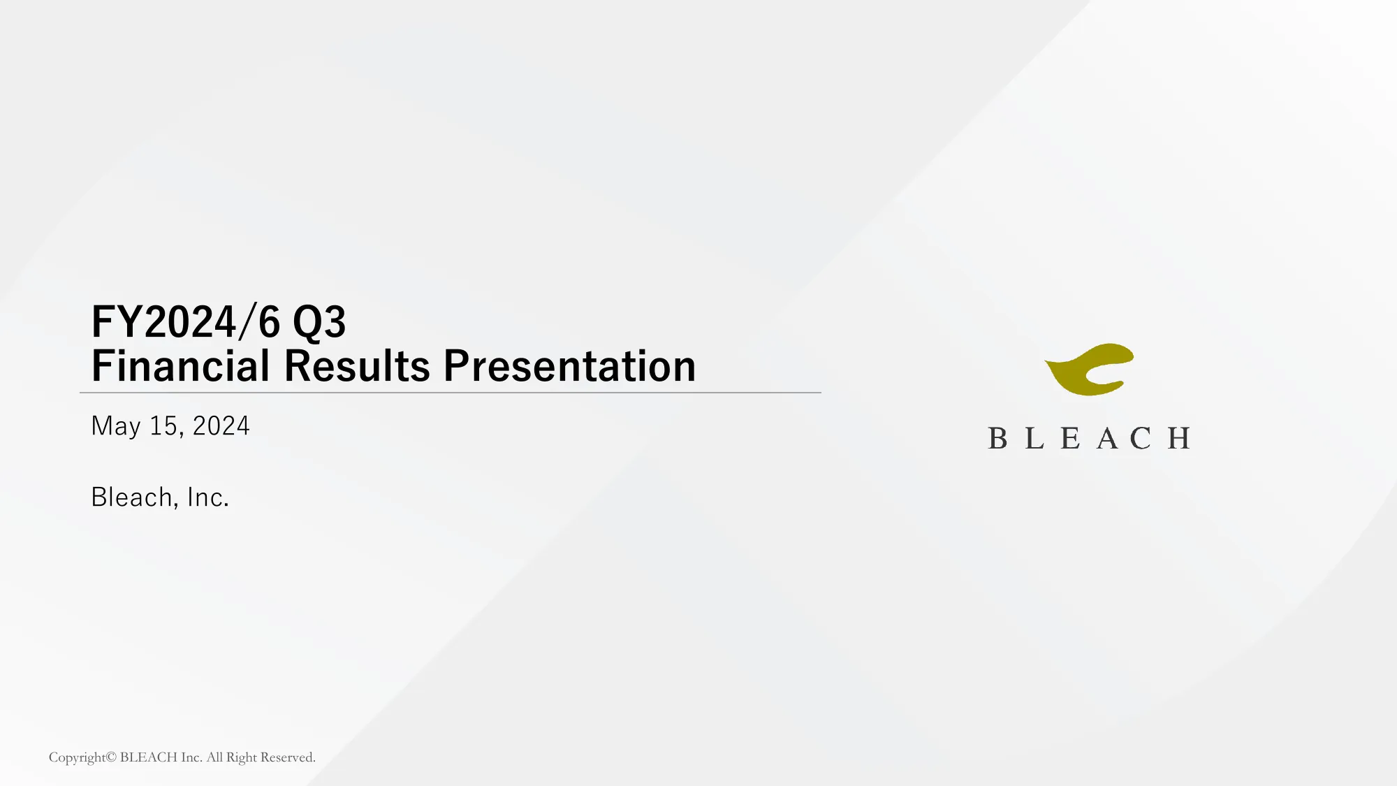 FY2024/6 Q3 Financial Results Presentation | Bleach, Inc.