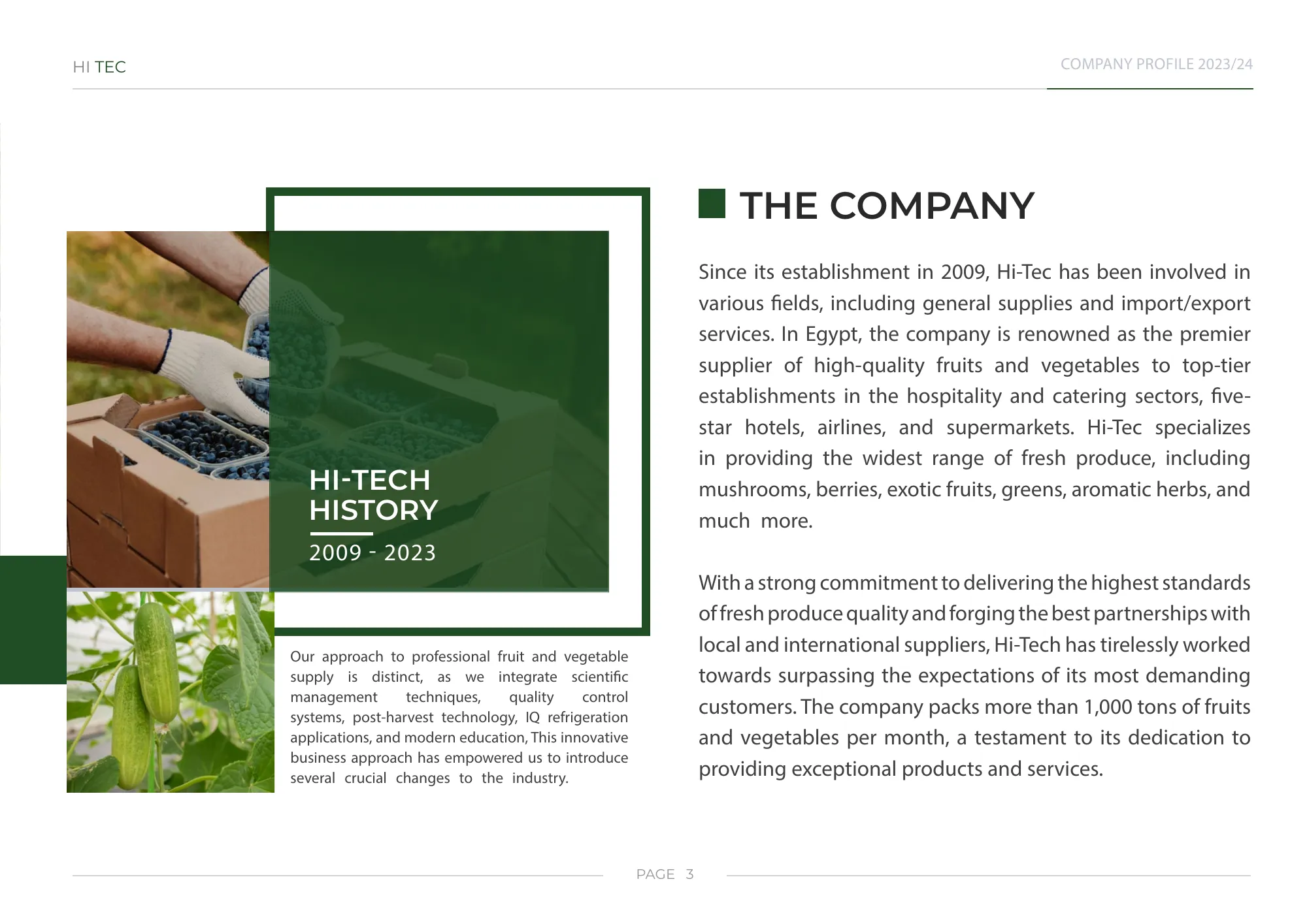 Hitec company profile