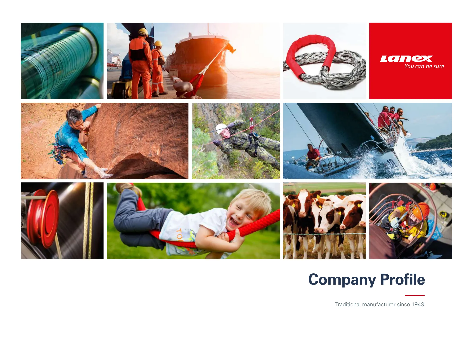 Lanex company profile