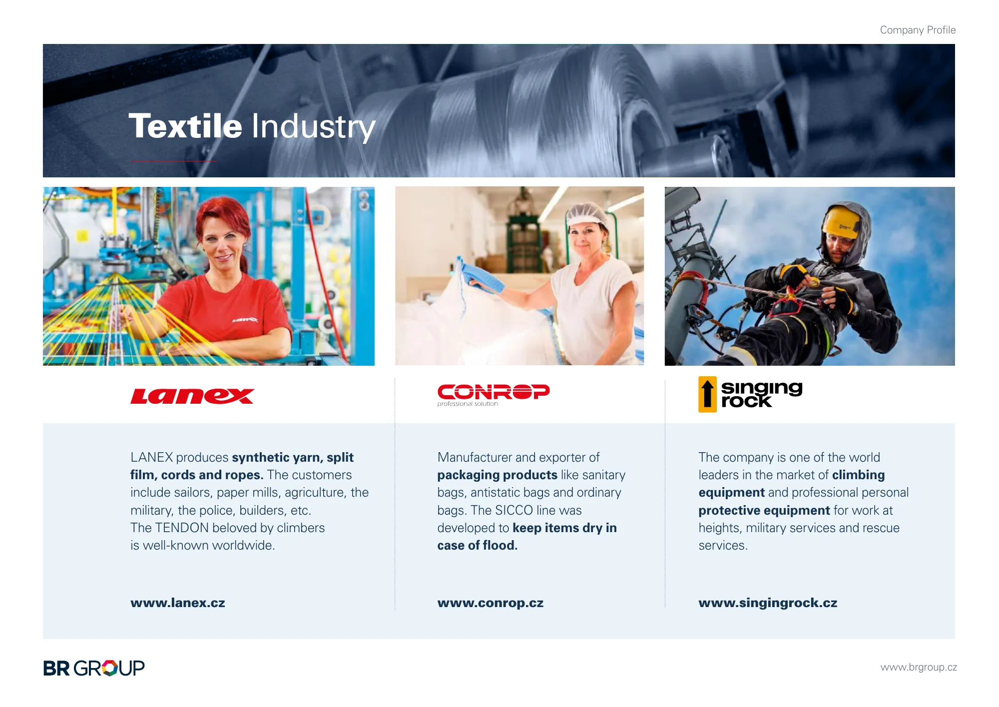 Lanex company profile