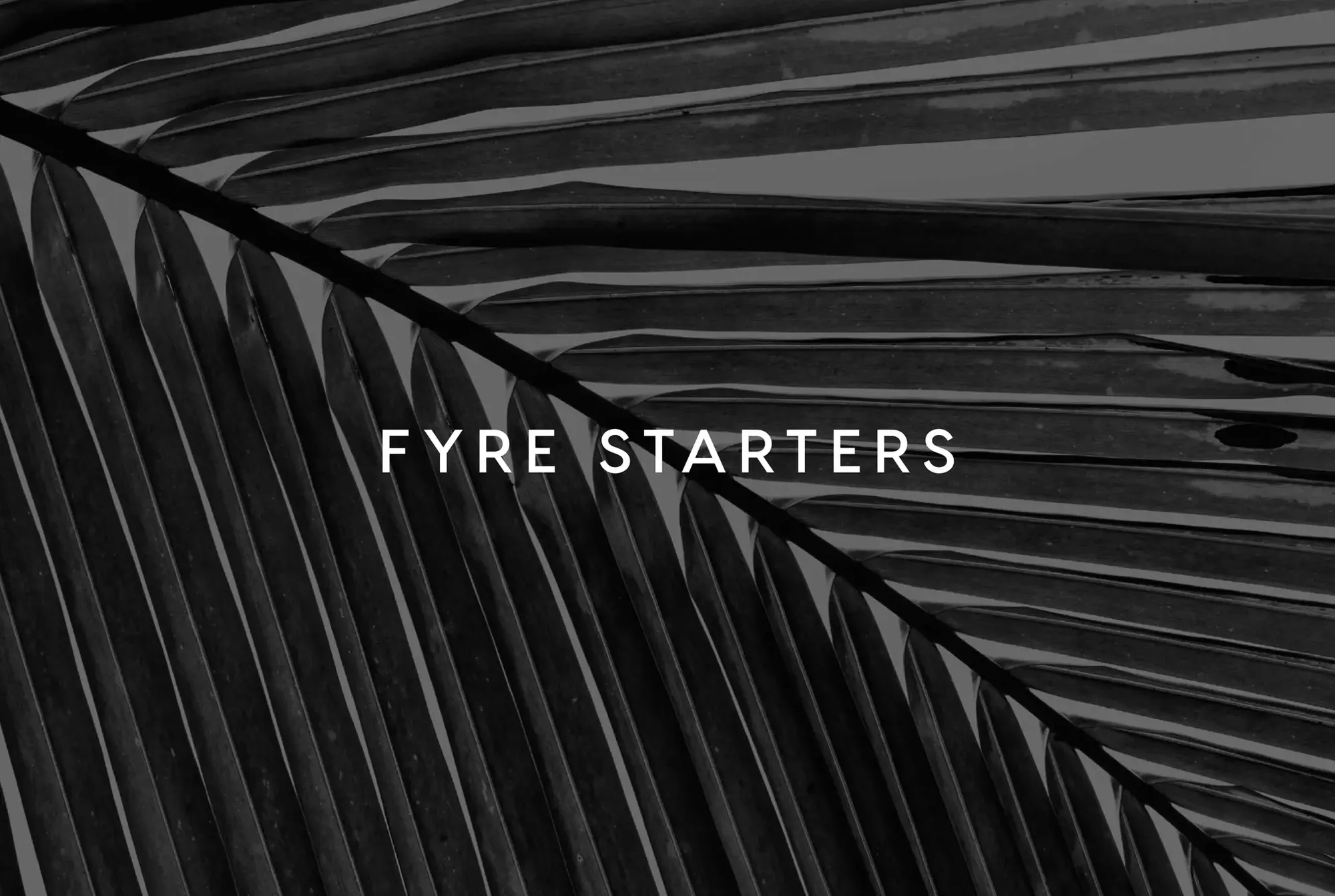 Fyre Festival - The Pitch Deck