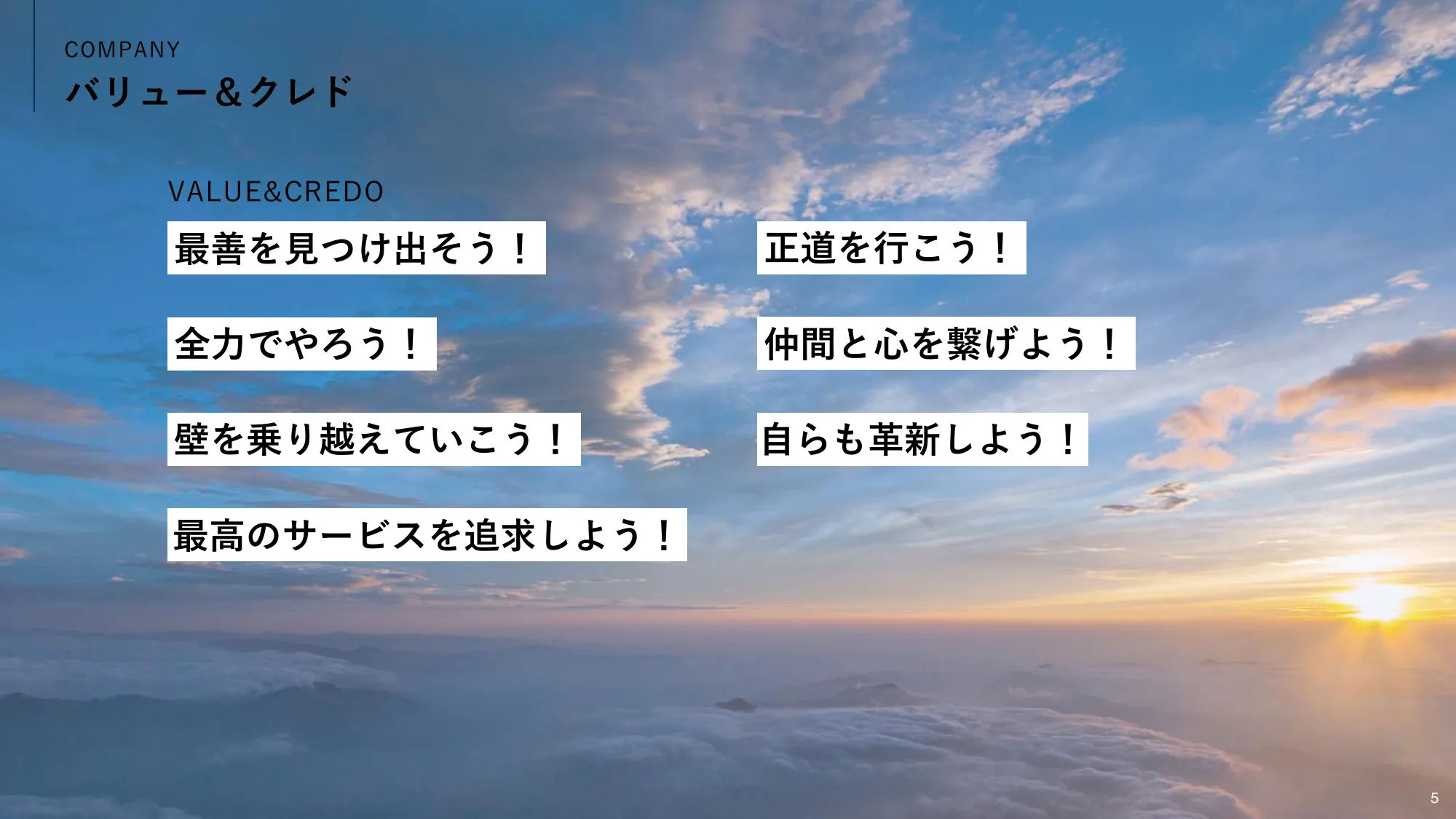 株式会社ネットマーケティング 会社紹介資料