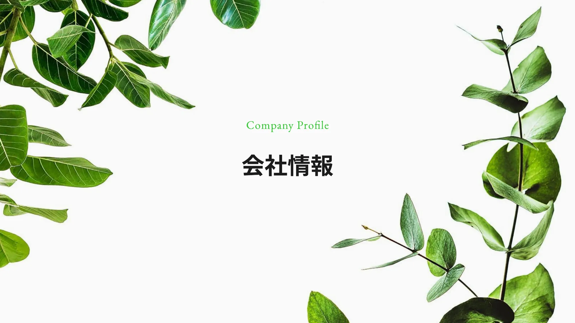 root 会社紹介資料