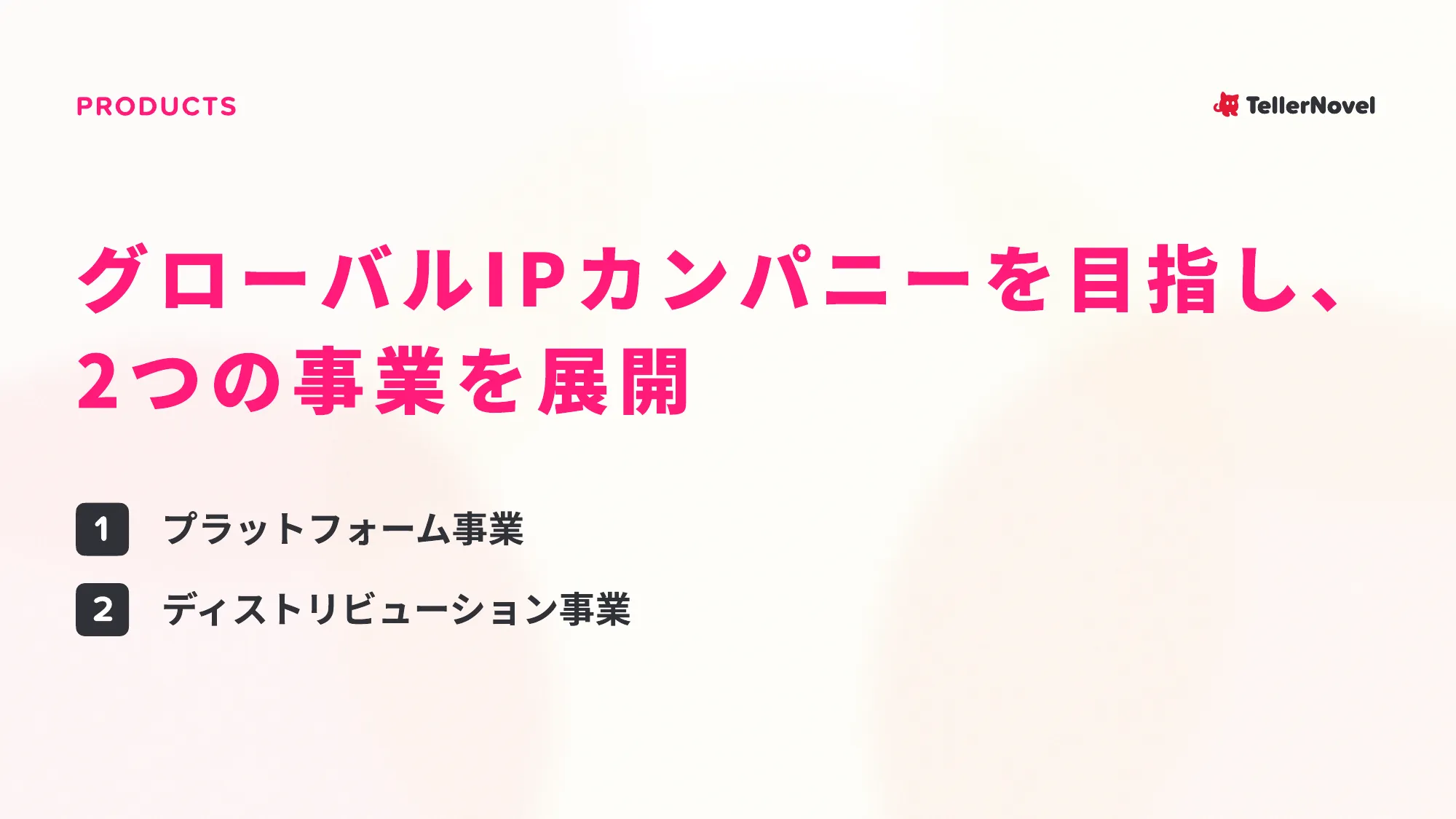 会社説明資料｜株式会社テラーノベル